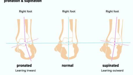 Supinazione e Pronazione del piede